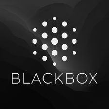 Icono de programa: BLACKBOX AI
