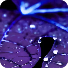 Blue Leaf Water Drop Theme HD