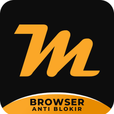 BF-Browser Mini with VPN