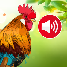 Animal Sounds  Bird Ringtones