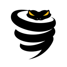 VyprVPN