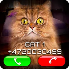 Fake Video Call Cat