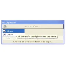 NET Clipboard