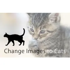 Change Images to Cats