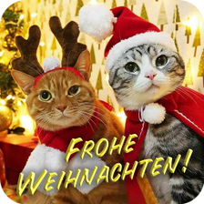 Frohe Weihnachten Bilder