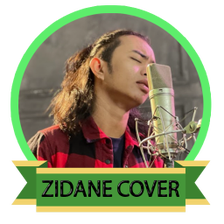 Zinidin Zidan Cover Offline