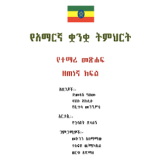 Amharic Grade 9 Textbook for E