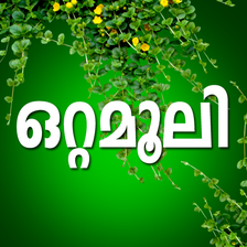 Ottamoolikal Malayalam