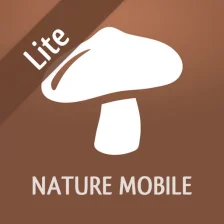 Mushroom LITE - Field Guide