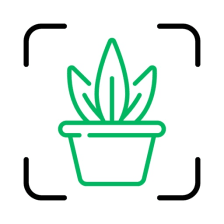 Plant ID - Identify Plants