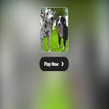 Dog Simulator 3D Game