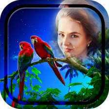 Love Birds Photo Frames APK for Android - Download