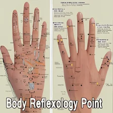 Body Reflexology Point