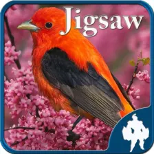 Birds Jigsaw Puzzles - Titan