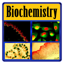 Basic Biochemistry