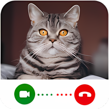 Cat Video Calling Chat Simulator para Android - Descargar