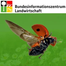 Nützlinge im Garten APK สำหรับ Android ดาวน์โหลด