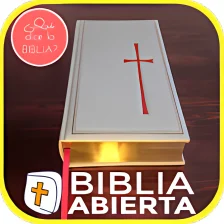 Biblia Católica Texto Biblico