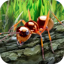 Ants Survival Simulator - go to insect world!
