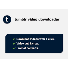 tumblr video downloader