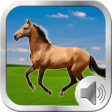 Horse Sounds Ringtones