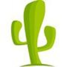 Icono de programa: CactusVPN