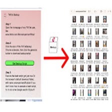 Tiktok Backup