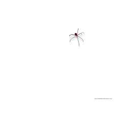 Spider Screensaver