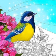 Birds Coloring Art Book for Android - Download