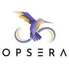 Icon of program: Opsera