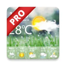 Weather Real-time Forecast Pro