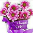 Icon of program: صور مساء الخير بدون انترن…