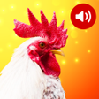 プログラムのアイコン：Animal Sounds