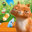 Icoon van programma: כתומולו - Catomolo המשחק …