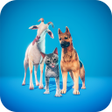 Icon of program: Stray Animal Survival Game 3D