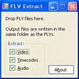 プログラムのアイコン：FLV Extract