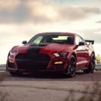 程序图标：Themes usa car mustanc wa…