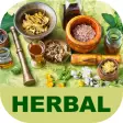 Info Tanaman Herbal Lengkap