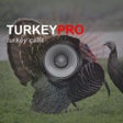 Ikon program: Turkey Calls - Turkey Sou…