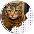プログラムのアイコン：Cat Photography Coloring …
