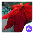 Programikonen: Maple leaf-APUS Launcher …