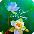 Programikonen: Good Morning GIF