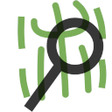Icon of program: Big Search