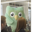 프로그램 아이콘: Duolingo is coming for yo…