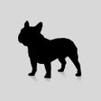 أيقونة البرنامج: Dogbreed App