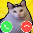 程序图标：Meme cats: Tamagochi