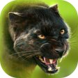 ไอคอนของโปรแกรม: Panther Online