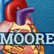 أيقونة البرنامج: USMLE Clinical Anatomy Qu…