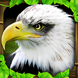 Programın simgesi: Eagle Simulator