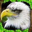 Icon of program: Eagle Simulator